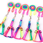 Glowwalk Rainbow Adjustable Pet Harness & Leash Set