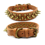 Rust & Rose Studded Pet Collar | Bronze Rivet PU