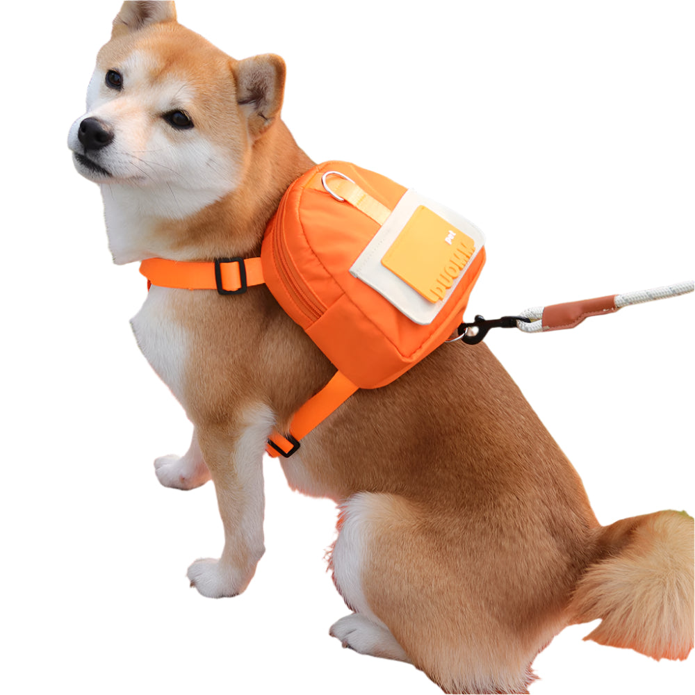 Paw Pack Colorblock Travel Pet Bag | Pet Backpack for Walks & Adventures