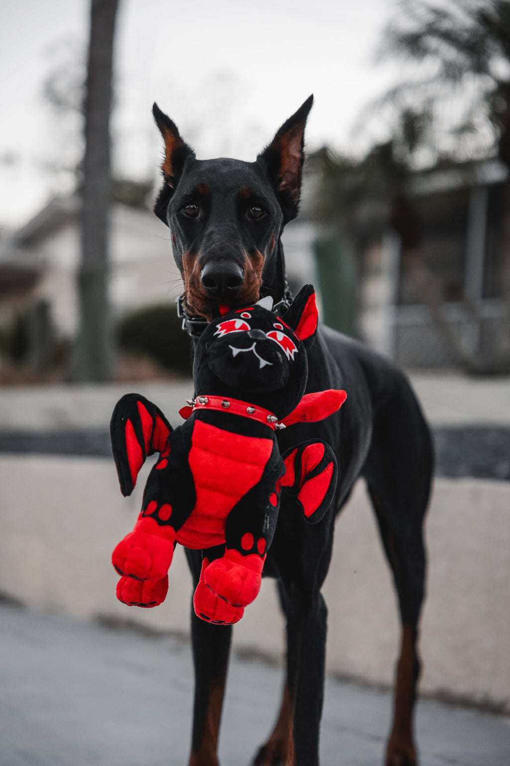 Magma Hellhound Dog Plushie
