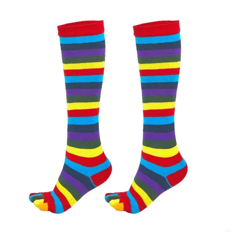 Lucky Toes Rainbow Socks.