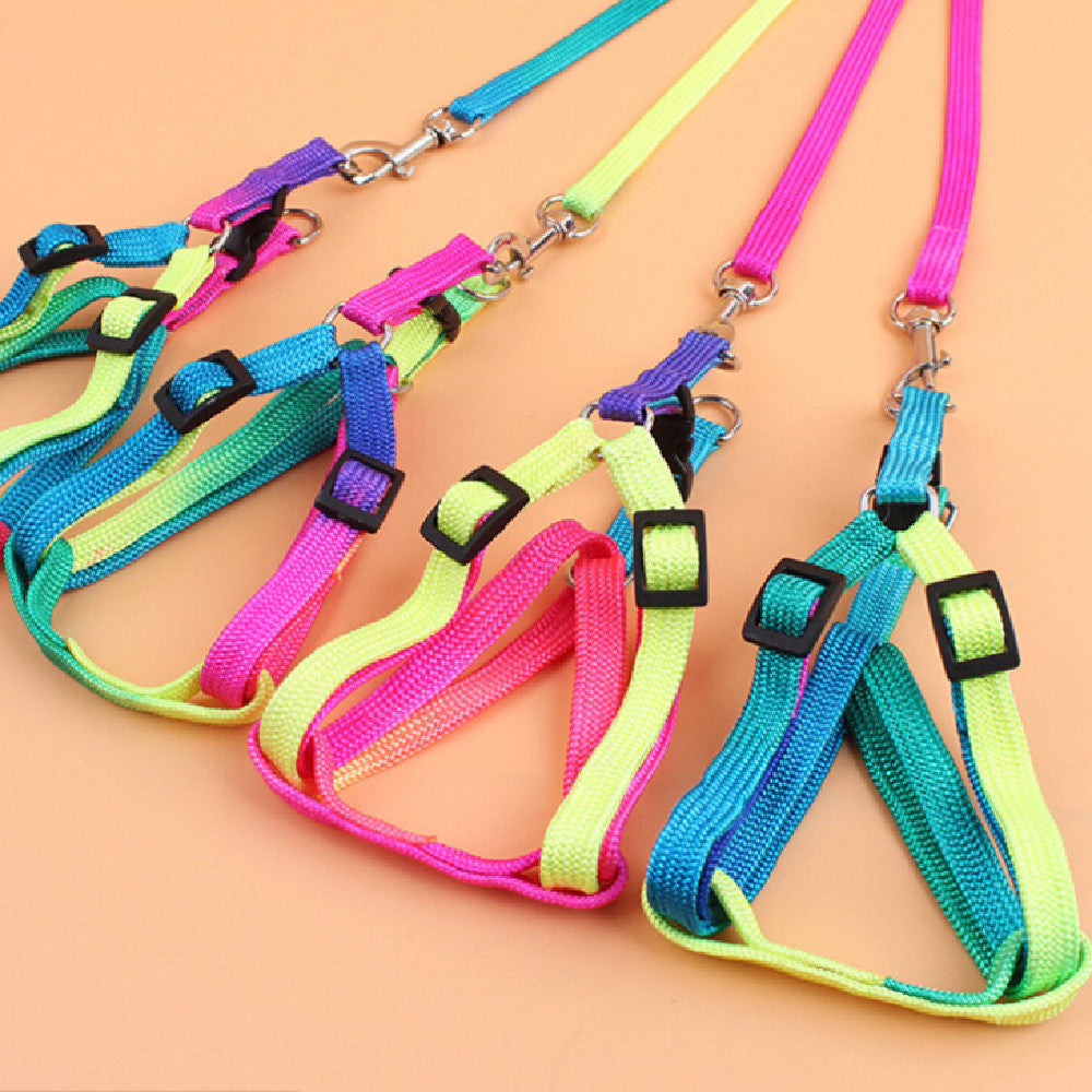 Glowwalk Rainbow Adjustable Pet Harness & Leash Set